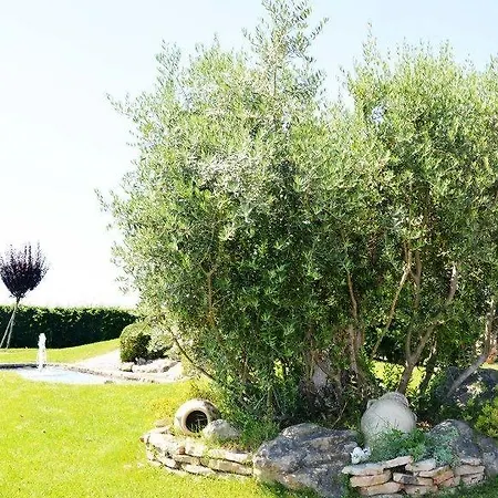 Aurora קסטנאזו